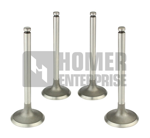 ENGINE VALVE 13201-A1100