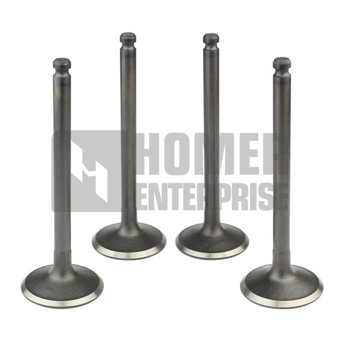 ENGINE VALVE 1-12551-050-0