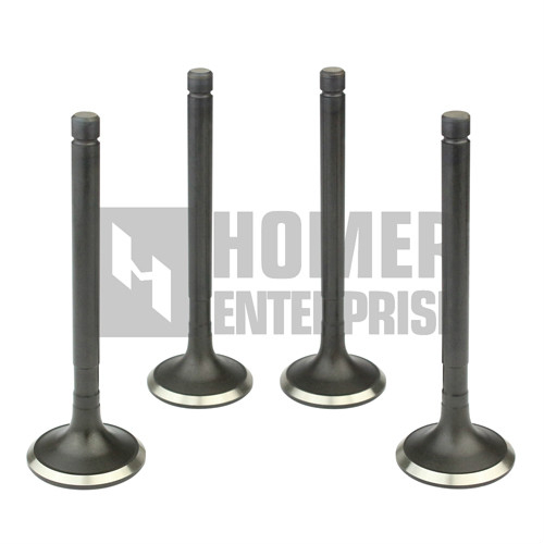 ENGINE VALVE 13715-71010