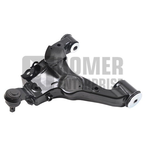 CONTROL ARM 48069-60030